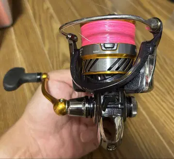 Daiwa 레브로스 LT 3000-CH