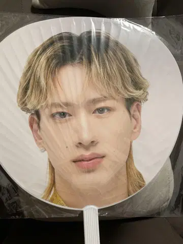 BUDDiiS MORRIE 에비라이 2024 부채