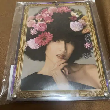 쿠도 시즈카 프로마이드 케이스