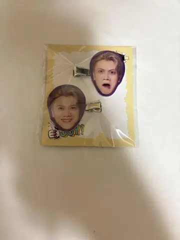 사사키 다이코 헤어 클립