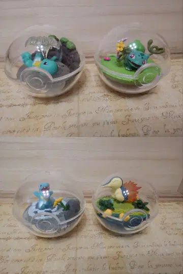 포켓몬 이상해씨 꼬부기(제니카메) 불꽃숭이 악비아차 테라리움