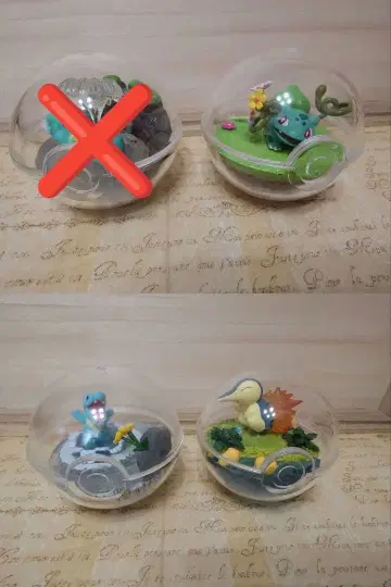 포켓몬 이상해씨 꼬부기(제니카메) 불꽃숭이 악비아차 테라리움