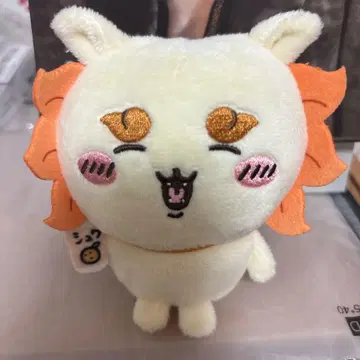 치이카와 시사 2개 세트