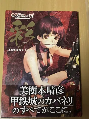 채 [ 강철의 연금술사 ] 미키모토 하루히코 아트 워크스