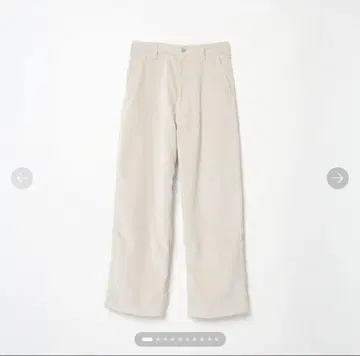 shishikui Painter C / CORDUROY CREAM 38