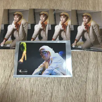 버그스테 카리코미