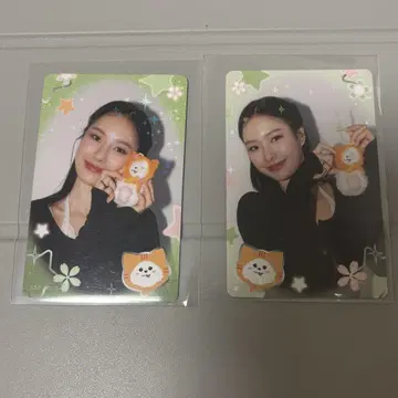 GMMTV 팝업 랜트레