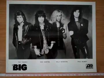 [ Mr. BIG ] 아티스트 사진 홍보 사진 미스터 빅