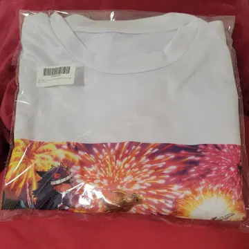 피카츄와 이브이들 포켓몬스터 PtZ 셔츠 새상품