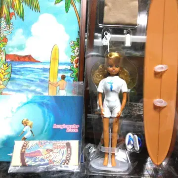희소 가치 높은 서퍼 리카짱 인형 나무 상자 포함