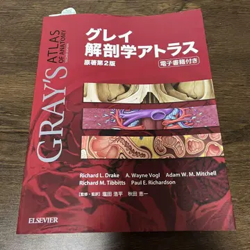 그레이 해부학 아틀라스 제2판 전자판 미사용