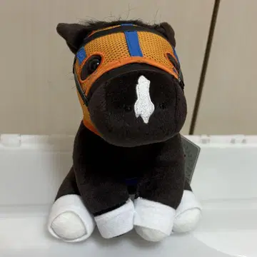 아이돌 호스 호쿠토 타루마에 M 사이즈