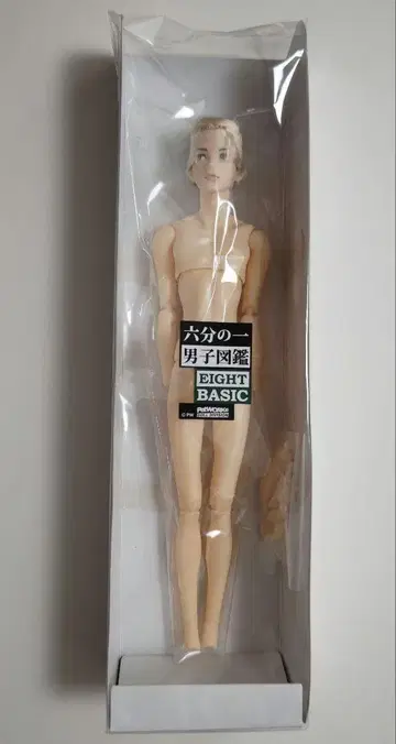 육분의 일 남자 도감 B2307 에이트