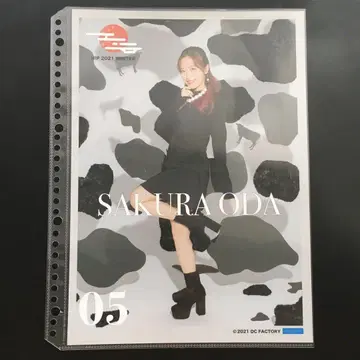 4911 모닝구 무스메 오다 사쿠라 핀업 포스터