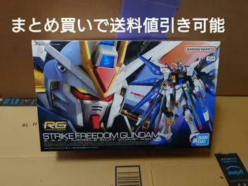 RG 스트라이크 프리덤 건담