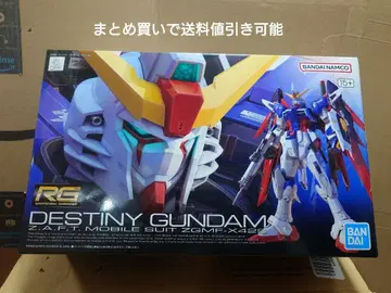 RG 데스티니 건담 ZGMF-X42S