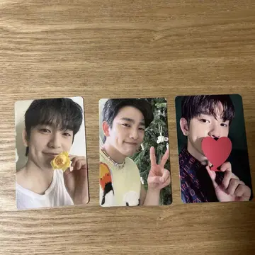 GOT7 진영 트레이딩 카드 3장 세트