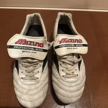 Mizuno Professional Model 축구화