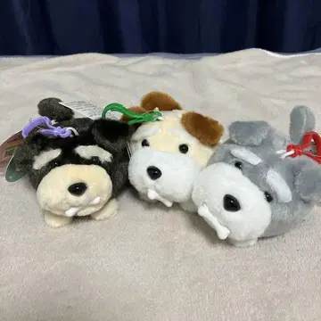 슈나와 밥 꼬리 빙글빙글 마스코트 3종 세트 슈나우저 봉제 인형