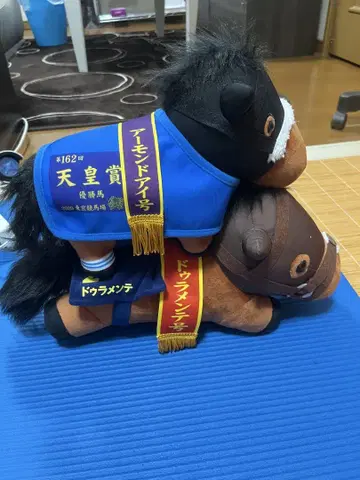 사츠키상 두라멘테 텐노상 (가을) 아몬드아이