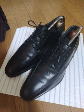 리걸 24cm