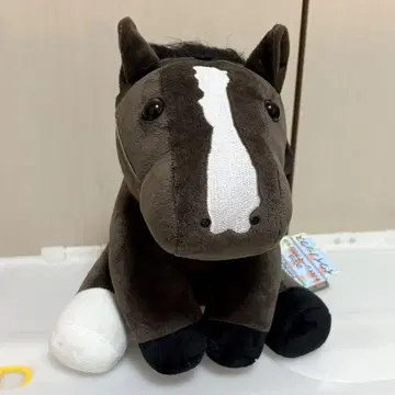 아이돌 호스 이퀴녹스 L 사이즈