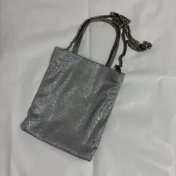 ZARA 체인 숄더백