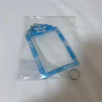 WILDBLUE 포토 카드 세트