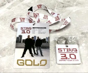 STING 3.0 2025 투어 굿즈 Gold 패스 키링