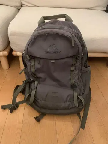 GREGORY 백팩 그레이