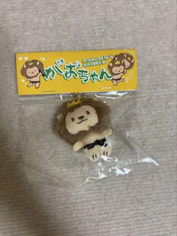 타케치 카이세이 가오짱