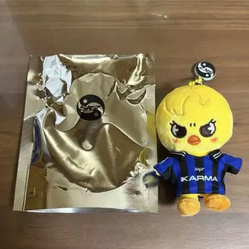 KARMA 포가리 Felix