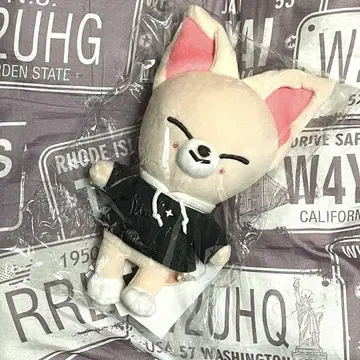 StrayKids SKZOO 봉제 인형 FoxI.Ny 폭시니 아이엔