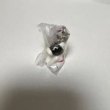 아이돌 호스 미니 컬렉션 vol.41 하야야코