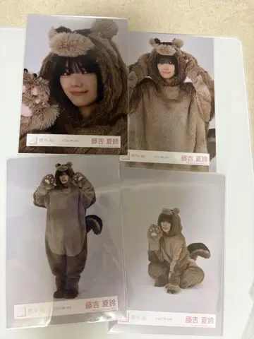 사쿠라자카46 후지요시 카린 브로마이드 동물 인형옷