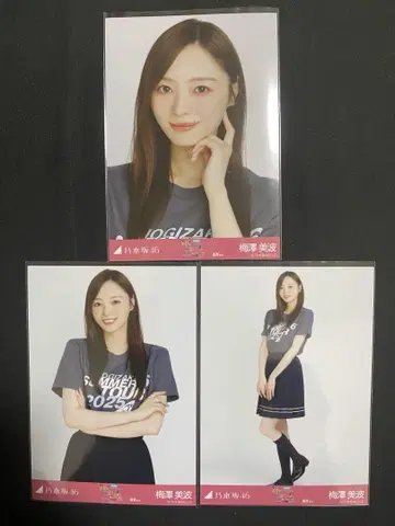 매실자와 미나미 후쿠오카 라이브 T 컴프