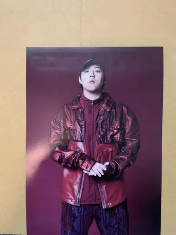 판타 BFX 세계 플라이어