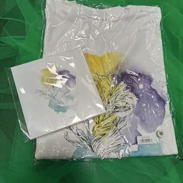 오오모리 모토키 프렌치 T셔츠 외