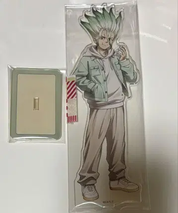Dr.STONE 이시가미 센쿠 아크릴 스탠드