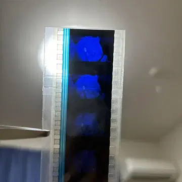 에반게리온 신극장판: 파 DVD 특전 시계 부품 필름 아스카 웅크림