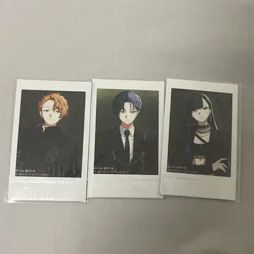 프로세카 ZOZOTOWN 폴라로이드 비바버스