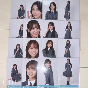히나타자카46 부탁이야 바흐! 봉입 컴프 4기생 묶음 판매