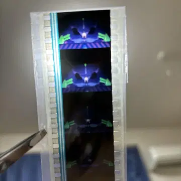 에반게리온 신극장판: 파 DVD 특전 필름 조각 초호기 신지