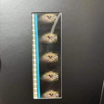 에반게리온 신극장판: 파 DVD 특전 시계 부품 필름 미사토 잠버릇