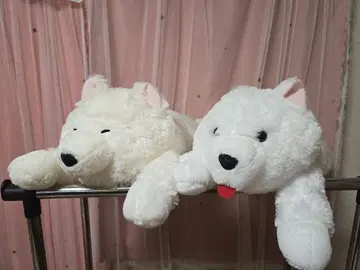 흐물흐물 사모예드군 뒹굴 울트라 BIG 봉제 인형 2종 세트 1