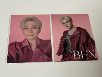 야기 유세이 BFX 포토 카드 트레이딩 카드