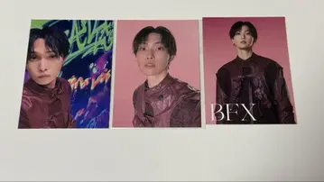 호리 나츠키 BFX 포토 카드 세트 3매