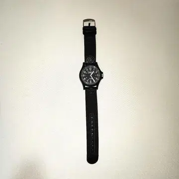 TIMEX Expedition Acadia TW4B08100 해외 모델