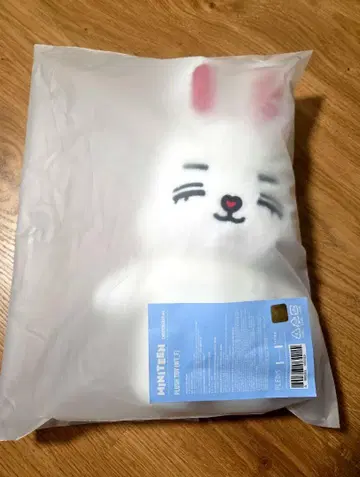 miniteen CHOITCHERRY 에스쿱스 봉제 인형