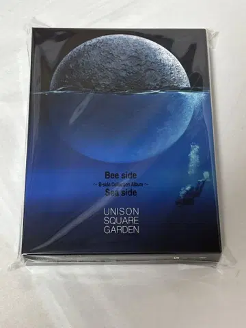 UNISON SQUARE GARDEN Bee side Sea side